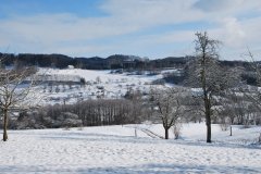 Im_Schnee_017