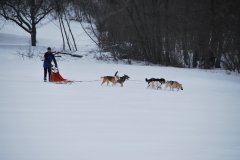 Schlitten_019