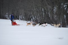 Schlitten_021