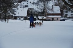 Schlitten_029