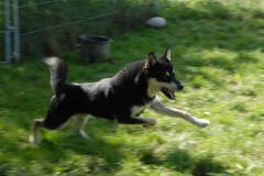 Steinbach-Events-KFP-2015-08-27-06