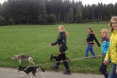 Steinbach-Events-KFP-2015-09-05-32