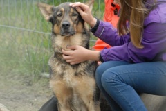 Steinbach-Events-KFP-2015-09-07-16