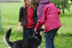 FP_Steinbach_082014-27