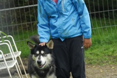 FP_Steinbach_082014-28