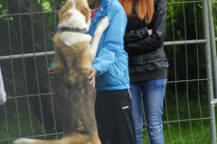 FP_Steinbach_082014-30