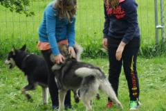 FP_Steinbach_082014-31