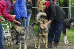 FP_Steinbach_082014-36