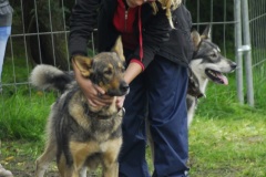 FP_Steinbach_082014-37