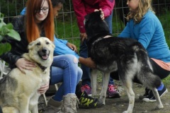 FP_Steinbach_082014-42