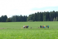 FP_Steinbach_082014-43