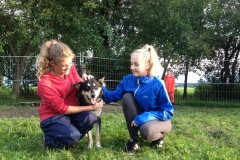 FP_Steinbach_082014-46-03